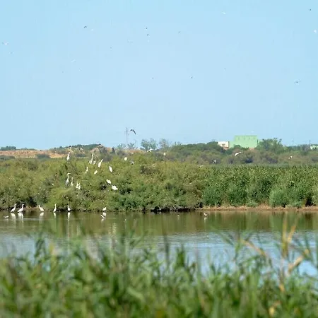 Maison Renovee A * Marseillan (Herault)
